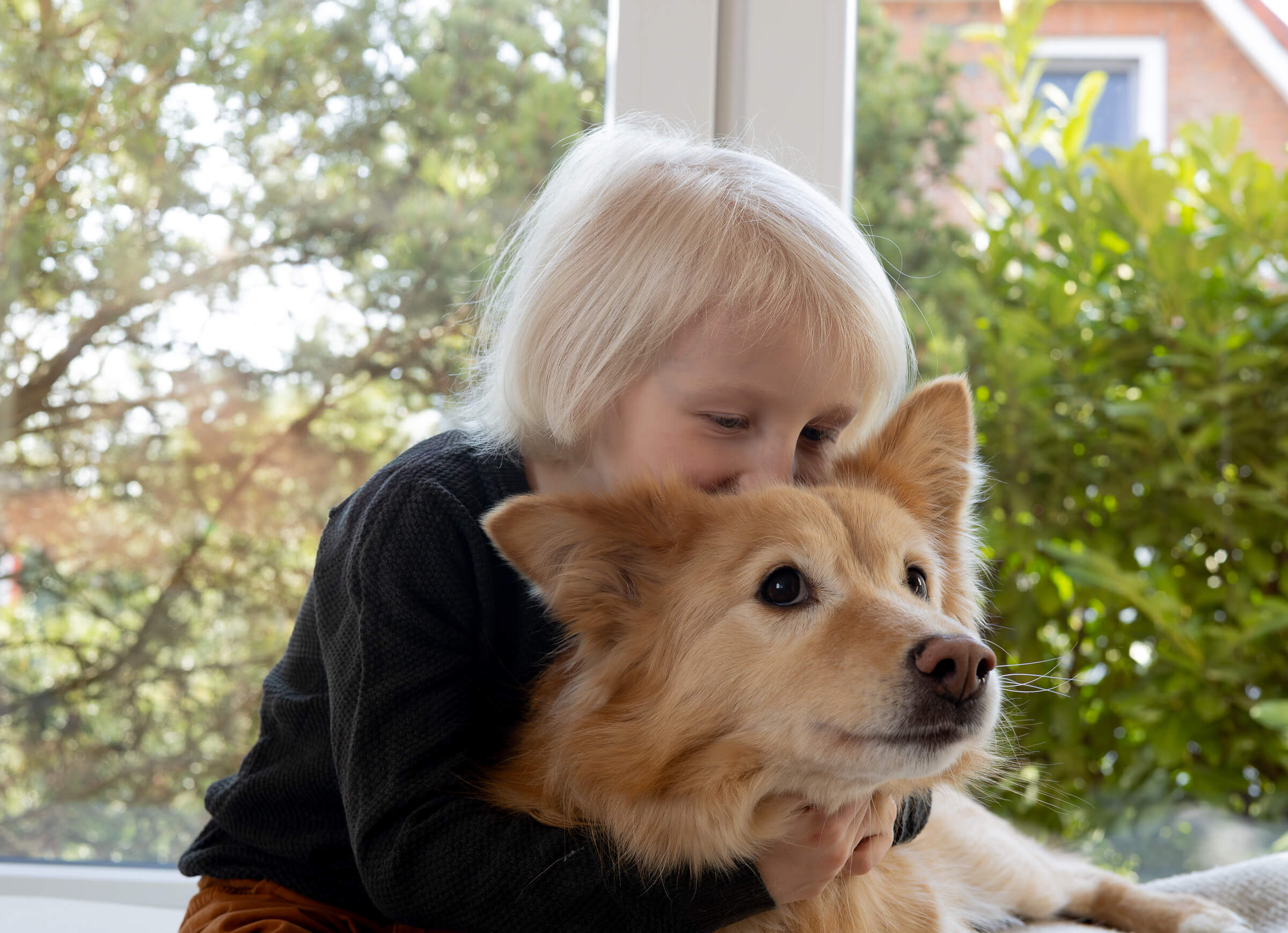 Fotograf Hamburg, Familienfotograf Hamburg, Junge kuschelt mit Hund