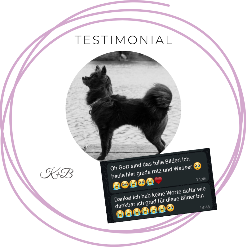 Testimonial Paarshooting mit Hund, Fotograf Hamburg, Reinbeker Schloss